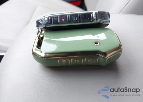 2021 Kia Telluride Ex z USA, uszkodzony, nr VIN 5XYP3DHC9MG131326